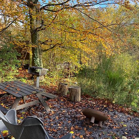 Chalet Tropical Avec Bain A Bulles - In The Woods Gesves 外观 照片